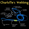 Outdoor Element Charlotte's Webbing features and parts