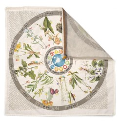 Wazoo - Foraging Bandanet